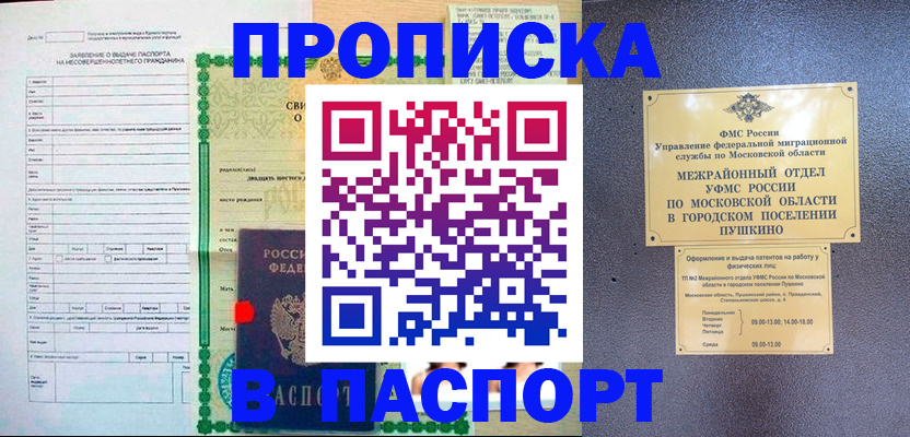 временная регистрация госуслуги в Николаевске